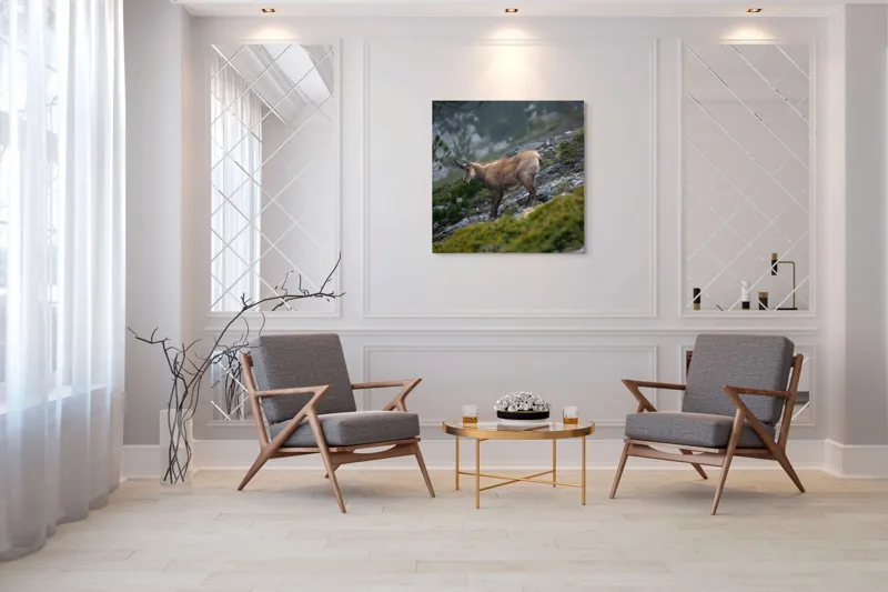 Tablou Canvas, "Capră neagră pe munte în ceață", Capră, Munți, Verdeață, Rocă, Natură, 100 x 100 cm – poza 7