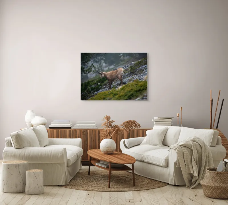 Tablou Canvas, "Capră neagră pe munte în ceață", Capră, Munți, Verdeață, Rocă, Natură, 100 x 70 cm – poza 3