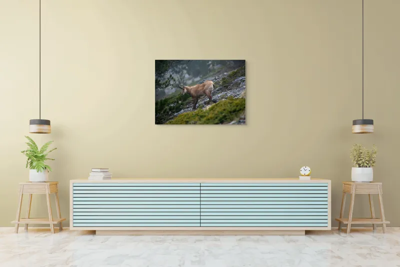 Tablou Canvas, "Capră neagră pe munte în ceață", Capră, Munți, Verdeață, Rocă, Natură, 100 x 70 cm – poza 4
