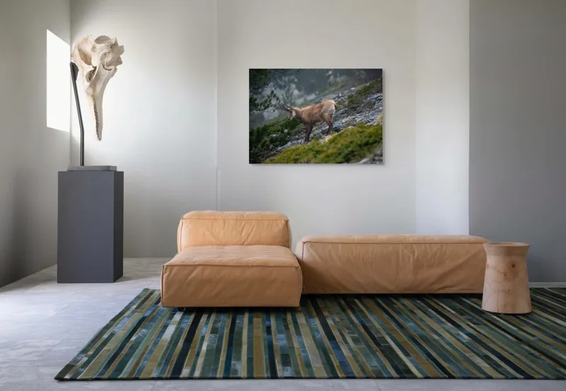 Tablou Canvas, "Capră neagră pe munte în ceață", Capră, Munți, Verdeață, Rocă, Natură, 100 x 70 cm – poza 7