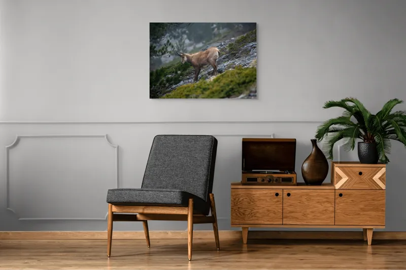 Tablou Canvas, "Capră neagră pe munte în ceață", Capră, Munți, Verdeață, Rocă, Natură, 100 x 70 cm – poza 8