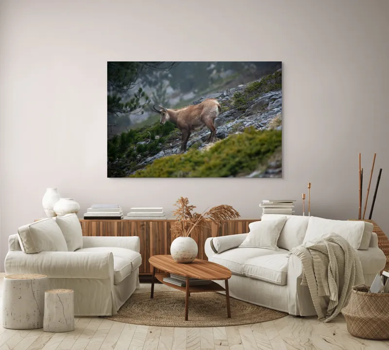 Tablou Canvas, "Capră neagră pe munte în ceață", Capră, Munți, Verdeață, Rocă, Natură, 150 x 100 cm – poza 3