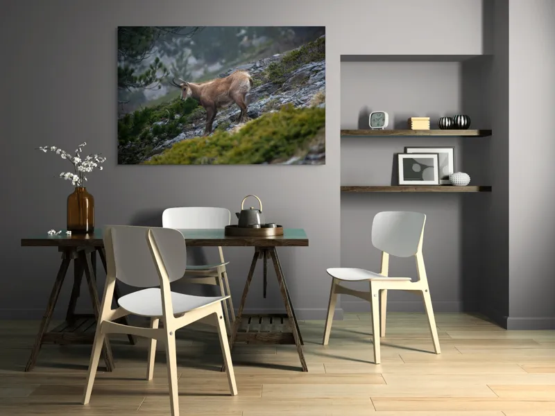 Tablou Canvas, "Capră neagră pe munte în ceață", Capră, Munți, Verdeață, Rocă, Natură, 150 x 100 cm – poza 5