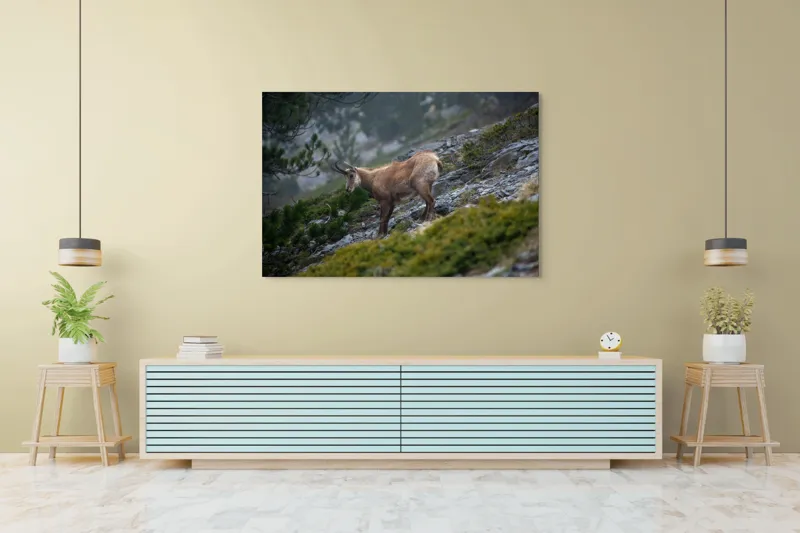 Tablou Canvas, "Capră neagră pe munte în ceață", Capră, Munți, Verdeață, Rocă, Natură, 150 x 100 cm – poza 6