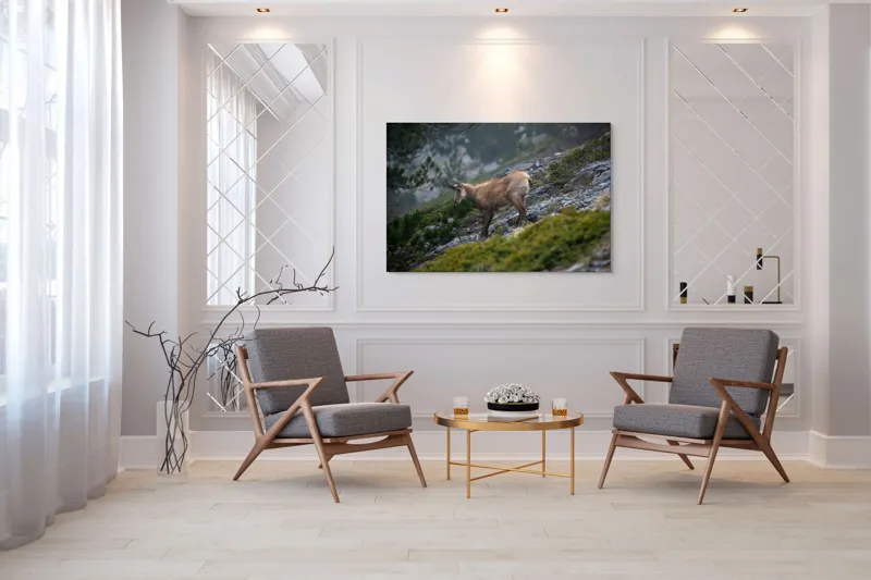 Tablou Canvas, "Capră neagră pe munte în ceață", Capră, Munți, Verdeață, Rocă, Natură, 150 x 100 cm – poza 7