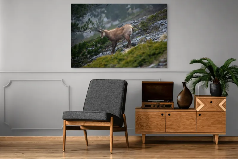 Tablou Canvas, "Capră neagră pe munte în ceață", Capră, Munți, Verdeață, Rocă, Natură, 150 x 100 cm – poza 8