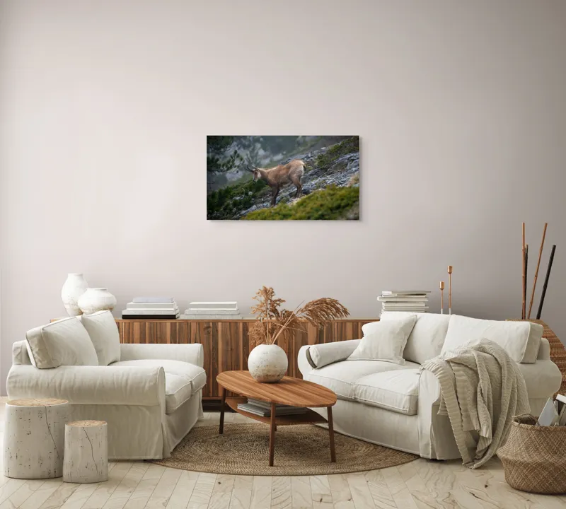 Tablou Canvas, "Capră neagră pe munte în ceață", Capră, Munți, Verdeață, Rocă, Natură, 90 x 50 cm – poza 4