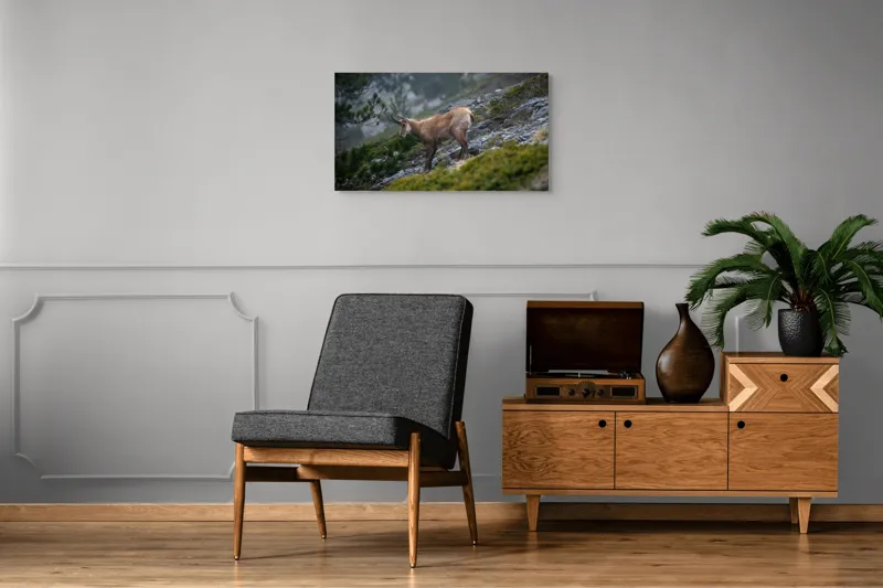 Tablou Canvas, "Capră neagră pe munte în ceață", Capră, Munți, Verdeață, Rocă, Natură, 90 x 50 cm – poza 6