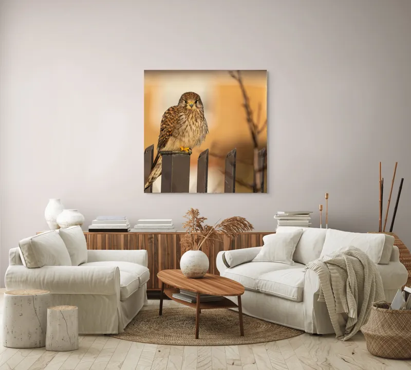 Tablou Canvas, "Ghepardul cerului pe gard metalic", Pene, Privire, Ramura, Soare, Gard, Stalp, Apus, Cladire, 100 x 100 cm – poza 3