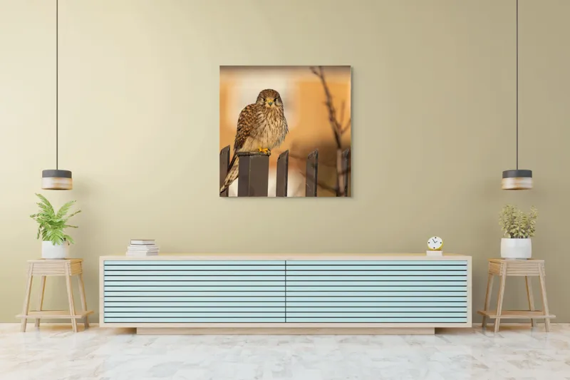 Tablou Canvas, "Ghepardul cerului pe gard metalic", Pene, Privire, Ramura, Soare, Gard, Stalp, Apus, Cladire, 100 x 100 cm – poza 5