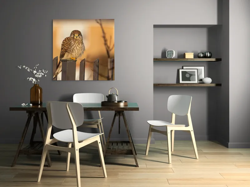 Tablou Canvas, "Ghepardul cerului pe gard metalic", Pene, Privire, Ramura, Soare, Gard, Stalp, Apus, Cladire, 100 x 100 cm – poza 6