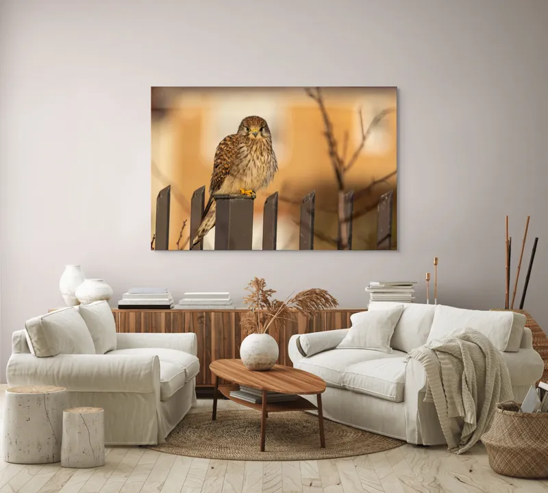 Tablou Canvas, "Ghepardul cerului pe gard metalic", Pene, Privire, Ramura, Soare, Gard, Stalp, Apus, Cladire, 150 x 100 cm – poza 3