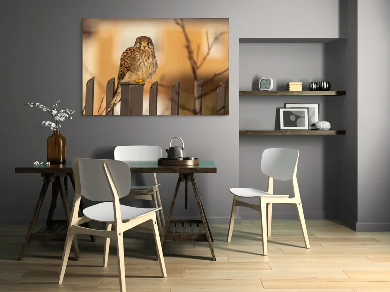 Tablou Canvas, "Ghepardul cerului pe gard metalic", Pene, Privire, Ramura, Soare, Gard, Stalp, Apus, Cladire, 150 x 100 cm – poza 5