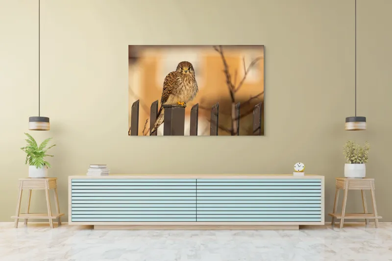 Tablou Canvas, "Ghepardul cerului pe gard metalic", Pene, Privire, Ramura, Soare, Gard, Stalp, Apus, Cladire, 150 x 100 cm – poza 6