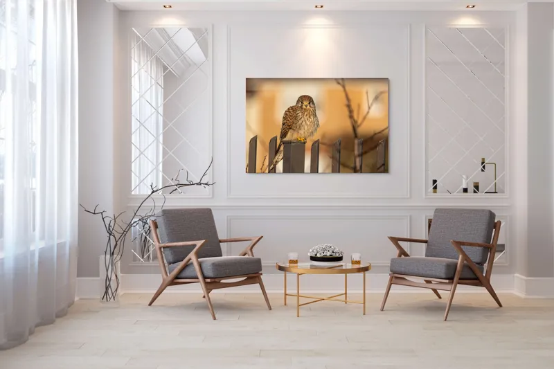 Tablou Canvas, "Ghepardul cerului pe gard metalic", Pene, Privire, Ramura, Soare, Gard, Stalp, Apus, Cladire, 150 x 100 cm – poza 7