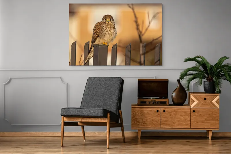 Tablou Canvas, "Ghepardul cerului pe gard metalic", Pene, Privire, Ramura, Soare, Gard, Stalp, Apus, Cladire, 150 x 100 cm – poza 8