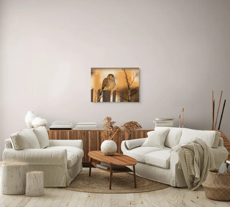 Tablou Canvas, "Ghepardul cerului pe gard metalic", Pene, Privire, Ramura, Soare, Gard, Stalp, Apus, Cladire, 70 x 50 cm – poza 6