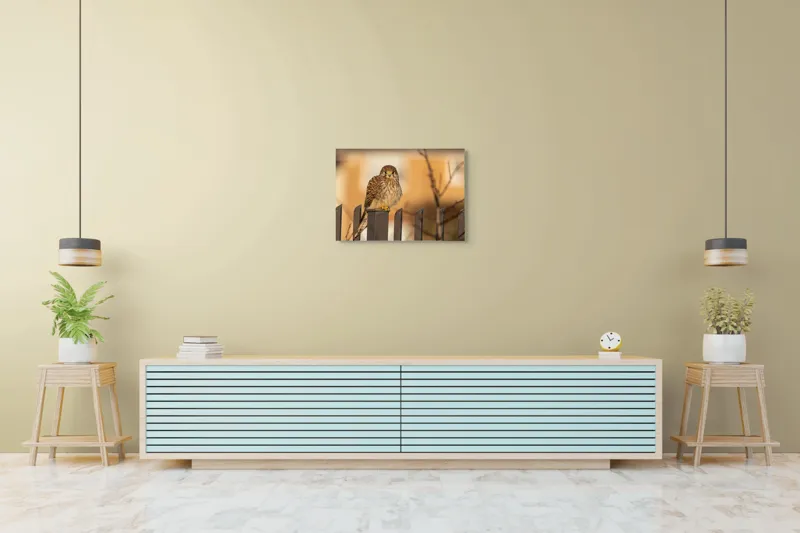 Tablou Canvas, "Ghepardul cerului pe gard metalic", Pene, Privire, Ramura, Soare, Gard, Stalp, Apus, Cladire, 70 x 50 cm – poza 7