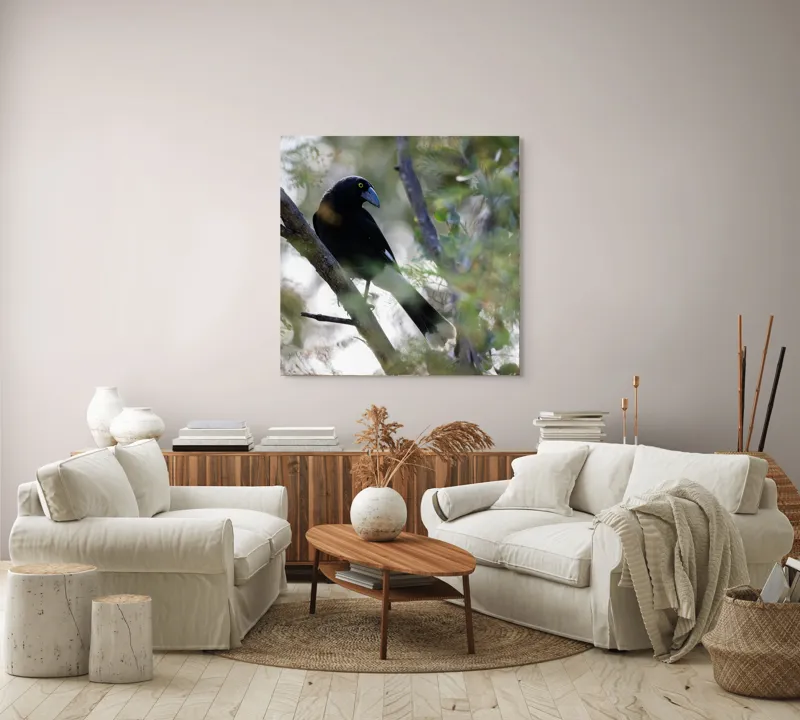 Tablou Canvas, "Pasărea misterioasă pe ramura ascunsă", Negru, Cioc-Albastru, Penaj, Copac, Natură, Privire, Ochi-Galben, Ramură, Frunziș, 100 x 100 cm – poza 3