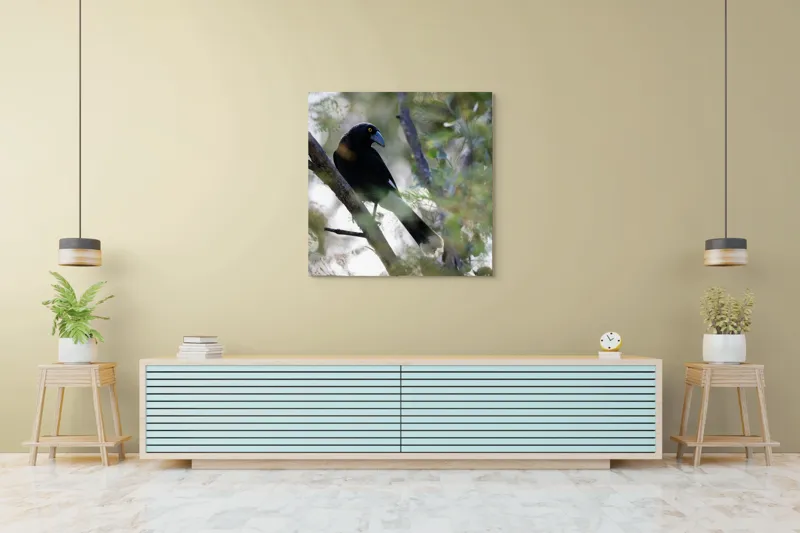 Tablou Canvas, "Pasărea misterioasă pe ramura ascunsă", Negru, Cioc-Albastru, Penaj, Copac, Natură, Privire, Ochi-Galben, Ramură, Frunziș, 100 x 100 cm – poza 5