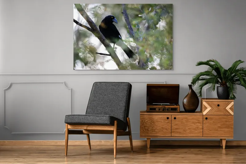 Tablou Canvas, "Pasărea misterioasă pe ramura ascunsă", Negru, Cioc-Albastru, Penaj, Copac, Natură, Privire, Ochi-Galben, Ramură, Frunziș, 150 x 100 cm – poza 8