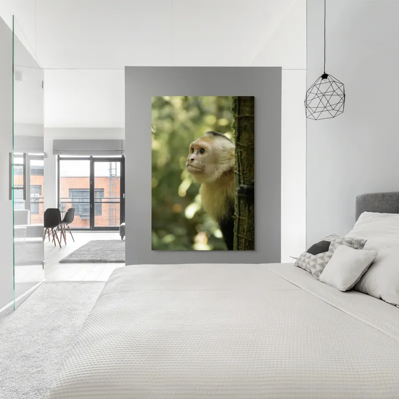 Tablou Canvas, "Maimuța curioasă în pădurea tropicală", Maimuță, Copac, Pădure, Blană, Natură, Verde, Lumină, Privire, Curiozitate, Peisaj, 100 x 150 cm – poza 5