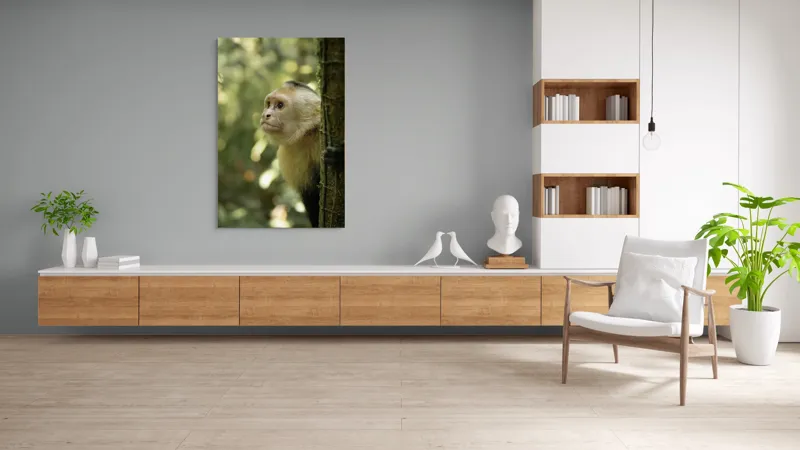 Tablou Canvas, "Maimuța curioasă în pădurea tropicală", Maimuță, Copac, Pădure, Blană, Natură, Verde, Lumină, Privire, Curiozitate, Peisaj, 100 x 150 cm – poza 8