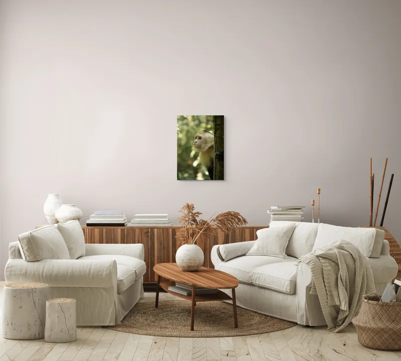 Tablou Canvas, "Maimuța curioasă în pădurea tropicală", Maimuță, Copac, Pădure, Blană, Natură, Verde, Lumină, Privire, Curiozitate, Peisaj, 39 x 54 cm – poza 5