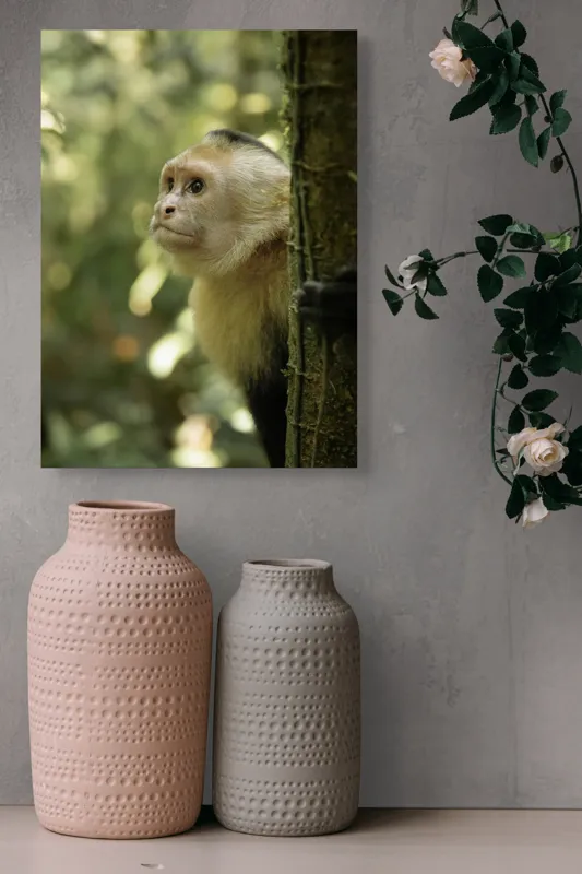 Tablou Canvas, "Maimuța curioasă în pădurea tropicală", Maimuță, Copac, Pădure, Blană, Natură, Verde, Lumină, Privire, Curiozitate, Peisaj, 39 x 54 cm – poza 6