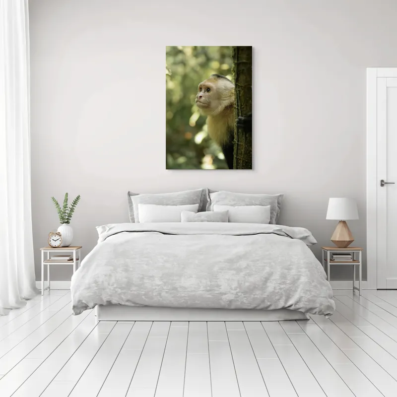 Tablou Canvas, "Maimuța curioasă în pădurea tropicală", Maimuță, Copac, Pădure, Blană, Natură, Verde, Lumină, Privire, Curiozitate, Peisaj, 70 x 100 cm – poza 3
