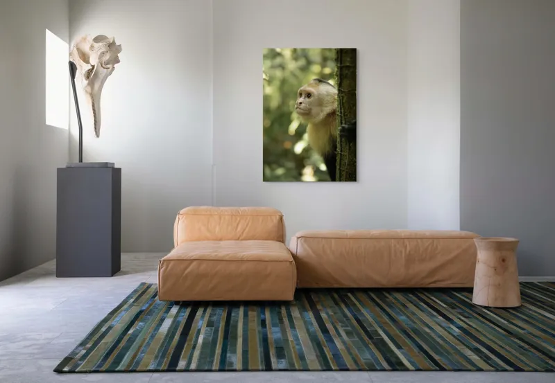 Tablou Canvas, "Maimuța curioasă în pădurea tropicală", Maimuță, Copac, Pădure, Blană, Natură, Verde, Lumină, Privire, Curiozitate, Peisaj, 70 x 100 cm – poza 7