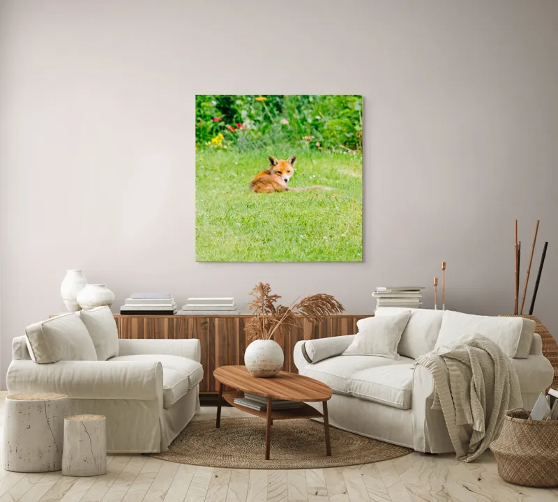 Tablou Canvas, "Vulpea odihnindu-se în grădină verde", Vulpe, Verdeață, Flori, Relaxare, Natură, Culoare, Curiozitate, Privire, Grădină, Peisaj, 100 x 100 cm – poza 3