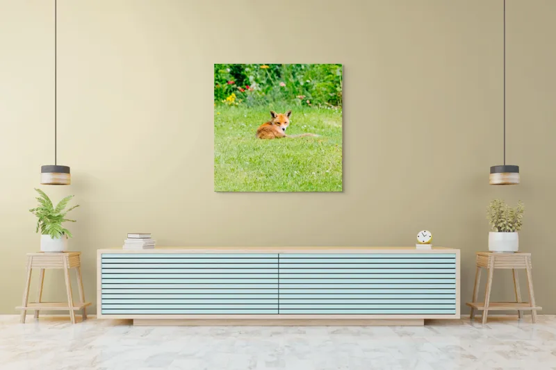 Tablou Canvas, "Vulpea odihnindu-se în grădină verde", Vulpe, Verdeață, Flori, Relaxare, Natură, Culoare, Curiozitate, Privire, Grădină, Peisaj, 100 x 100 cm – poza 5