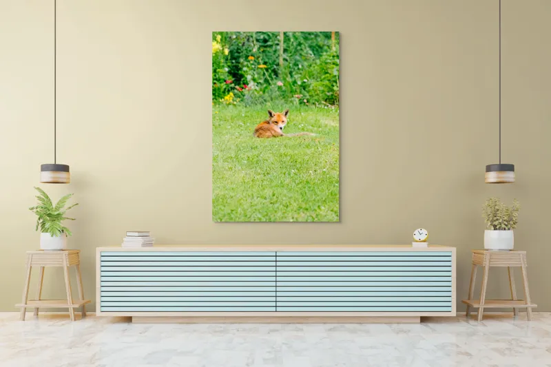 Tablou Canvas, "Vulpea odihnindu-se în grădină verde", Vulpe, Verdeață, Flori, Relaxare, Natură, Culoare, Curiozitate, Privire, Grădină, Peisaj, 100 x 150 cm – poza 4