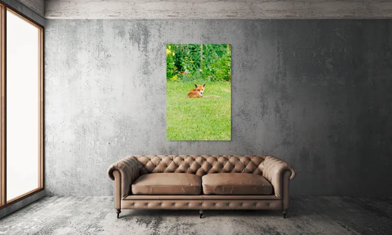Tablou Canvas, "Vulpea odihnindu-se în grădină verde", Vulpe, Verdeață, Flori, Relaxare, Natură, Culoare, Curiozitate, Privire, Grădină, Peisaj, 100 x 150 cm – poza 6