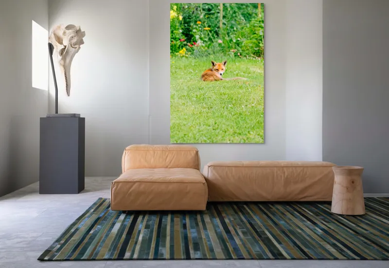 Tablou Canvas, "Vulpea odihnindu-se în grădină verde", Vulpe, Verdeață, Flori, Relaxare, Natură, Culoare, Curiozitate, Privire, Grădină, Peisaj, 100 x 150 cm – poza 7