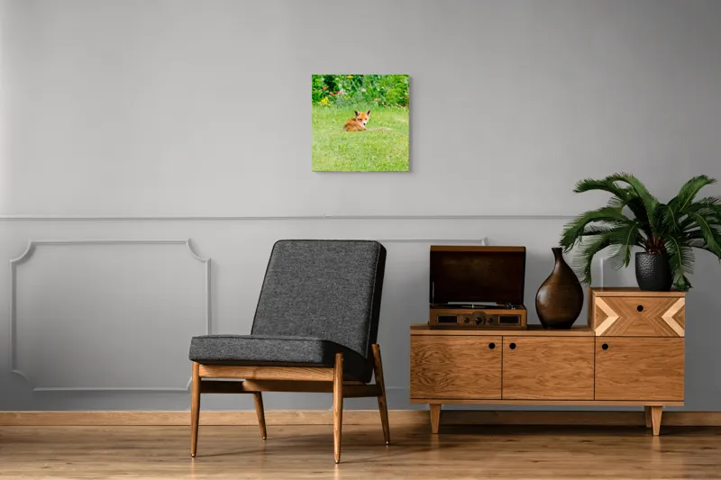 Tablou Canvas, "Vulpea odihnindu-se în grădină verde", Vulpe, Verdeață, Flori, Relaxare, Natură, Culoare, Curiozitate, Privire, Grădină, Peisaj, 50 x 50 cm – poza 6