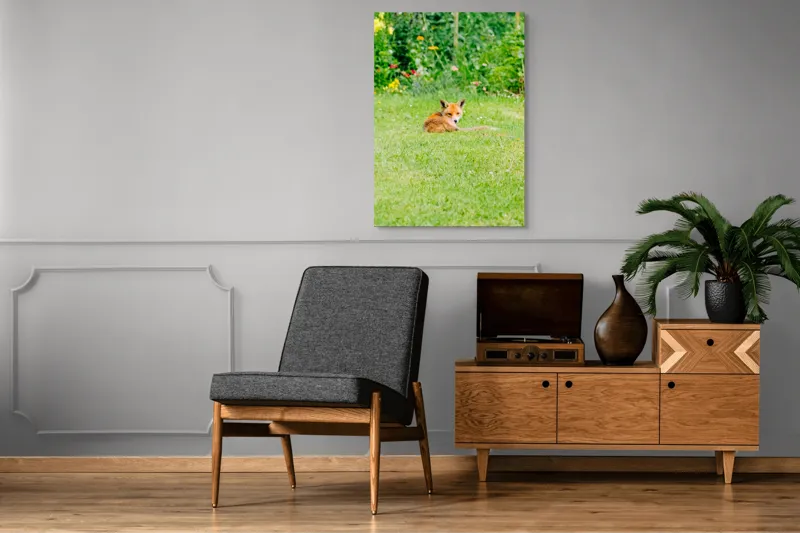Tablou Canvas, "Vulpea odihnindu-se în grădină verde", Vulpe, Verdeață, Flori, Relaxare, Natură, Culoare, Curiozitate, Privire, Grădină, Peisaj, 70 x 100 cm – poza 6