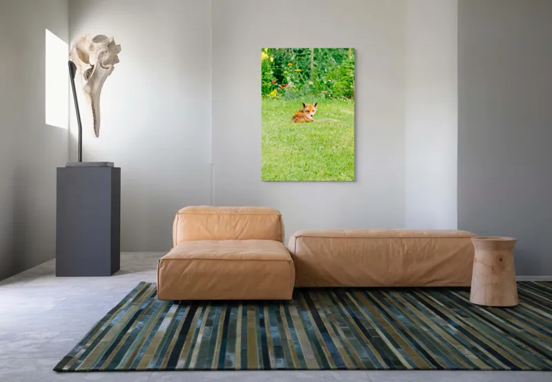 Tablou Canvas, "Vulpea odihnindu-se în grădină verde", Vulpe, Verdeață, Flori, Relaxare, Natură, Culoare, Curiozitate, Privire, Grădină, Peisaj, 70 x 100 cm – poza 7