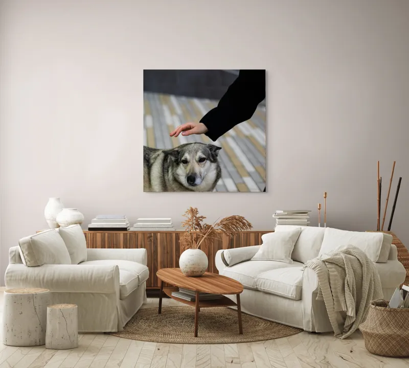 Tablou Canvas, "Persoană mângâind un câine prietenos", Câine, Mângâiere, Blană, Privire, Afecțiune, Exterior, Bariere, Zid, Acțiune, 100 x 100 cm – poza 3