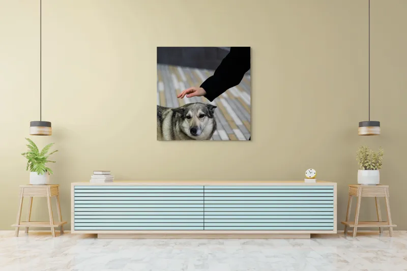 Tablou Canvas, "Persoană mângâind un câine prietenos", Câine, Mângâiere, Blană, Privire, Afecțiune, Exterior, Bariere, Zid, Acțiune, 100 x 100 cm – poza 5