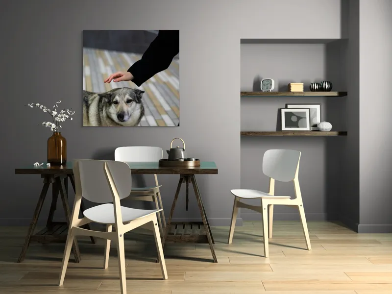 Tablou Canvas, "Persoană mângâind un câine prietenos", Câine, Mângâiere, Blană, Privire, Afecțiune, Exterior, Bariere, Zid, Acțiune, 100 x 100 cm – poza 6