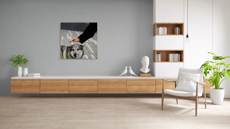 Tablou Canvas, "Persoană mângâind un câine prietenos", Câine, Mângâiere, Blană, Privire, Afecțiune, Exterior, Bariere, Zid, Acțiune, 100 x 100 cm – poza 8