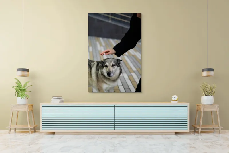 Tablou Canvas, "Persoană mângâind un câine prietenos", Câine, Mângâiere, Blană, Privire, Afecțiune, Exterior, Bariere, Zid, Acțiune, 100 x 150 cm – poza 4