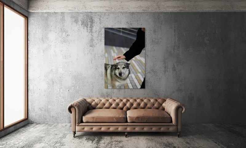 Tablou Canvas, "Persoană mângâind un câine prietenos", Câine, Mângâiere, Blană, Privire, Afecțiune, Exterior, Bariere, Zid, Acțiune, 100 x 150 cm – poza 6