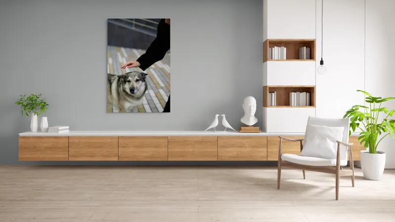 Tablou Canvas, "Persoană mângâind un câine prietenos", Câine, Mângâiere, Blană, Privire, Afecțiune, Exterior, Bariere, Zid, Acțiune, 100 x 150 cm – poza 8