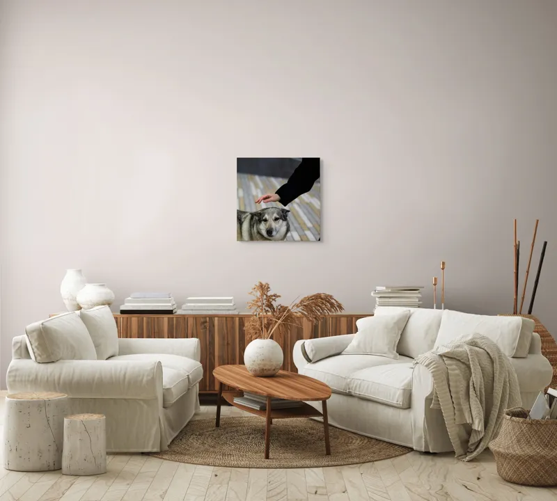Tablou Canvas, "Persoană mângâind un câine prietenos", Câine, Mângâiere, Blană, Privire, Afecțiune, Exterior, Bariere, Zid, Acțiune, 50 x 50 cm – poza 7