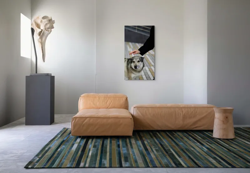 Tablou Canvas, "Persoană mângâind un câine prietenos", Câine, Mângâiere, Blană, Privire, Afecțiune, Exterior, Bariere, Zid, Acțiune, 50 x 90 cm – poza 5