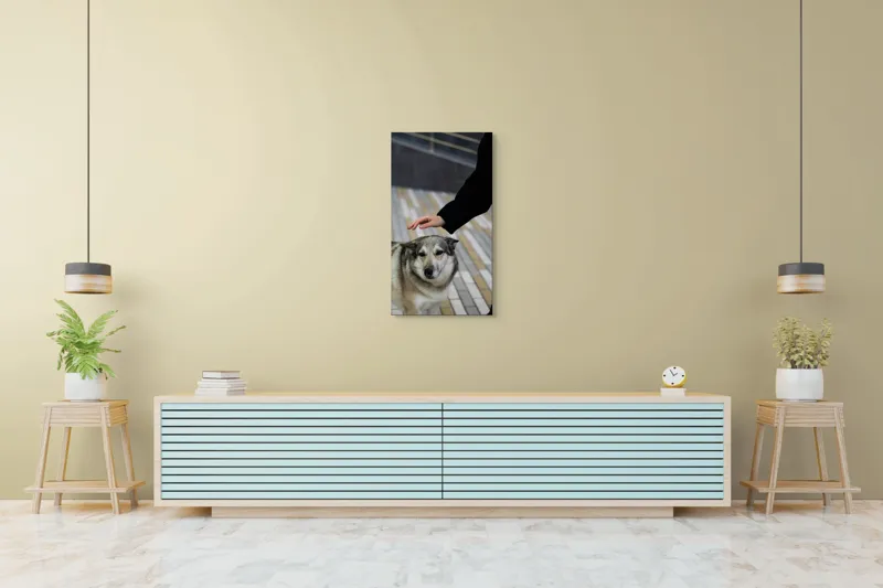 Tablou Canvas, "Persoană mângâind un câine prietenos", Câine, Mângâiere, Blană, Privire, Afecțiune, Exterior, Bariere, Zid, Acțiune, 50 x 90 cm – poza 6