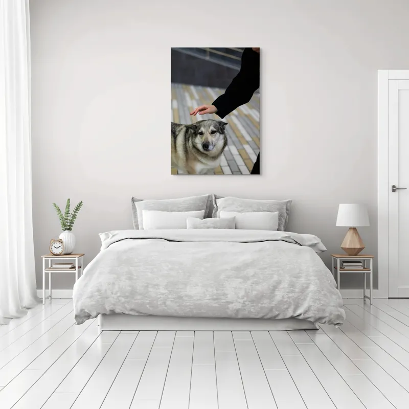 Tablou Canvas, "Persoană mângâind un câine prietenos", Câine, Mângâiere, Blană, Privire, Afecțiune, Exterior, Bariere, Zid, Acțiune, 70 x 100 cm – poza 3